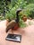 Crane Heron in Marble Mosaic, 1950s For Sale - Image 6 of 17