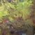 Antique original oil on canvas by Arthur Lumley (1837–1912), New York, titled An Arab Advance. The composition depicts a...