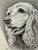 Original graphite pencil drawing by American artist and illustrator Theodore E. Schrock (1879–1952), depicting the...