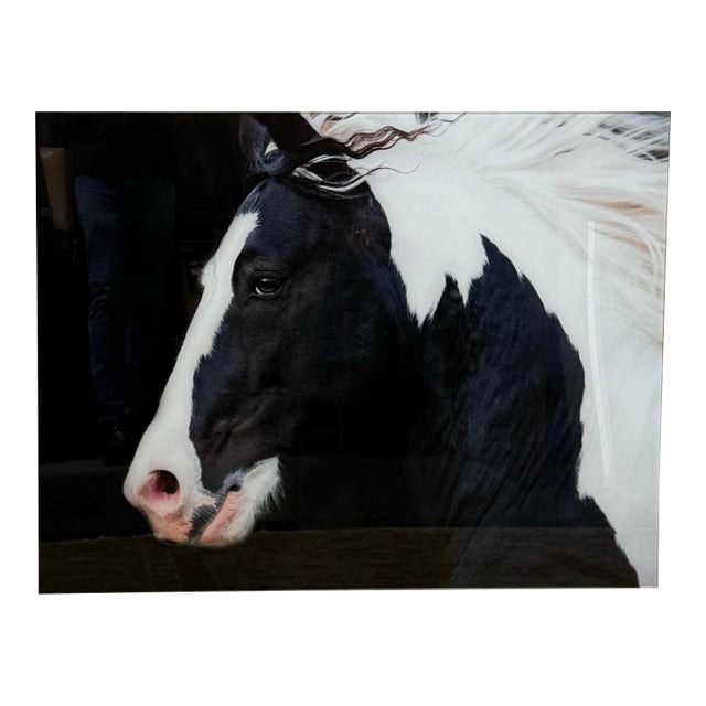 Terry Kirkland Cook Black and White Study Acrylic Print For Sale