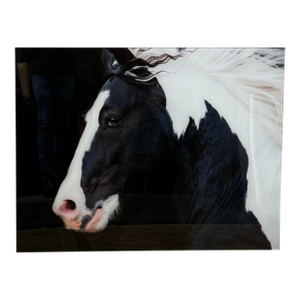 Terry Kirkland Cook Black and White Study Acrylic Print