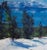 Winterscapes — Diamond Peak Run Original Oil on Gallery Wrapped Canvas For Sale - Image 9 of 11