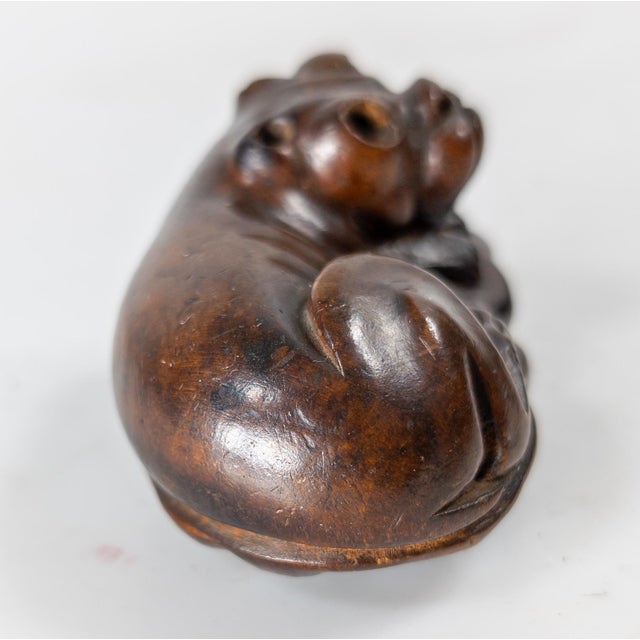 Wood 19th Century Carved Bulldog Form Snuff or Scent Box For Sale - Image 7 of 11