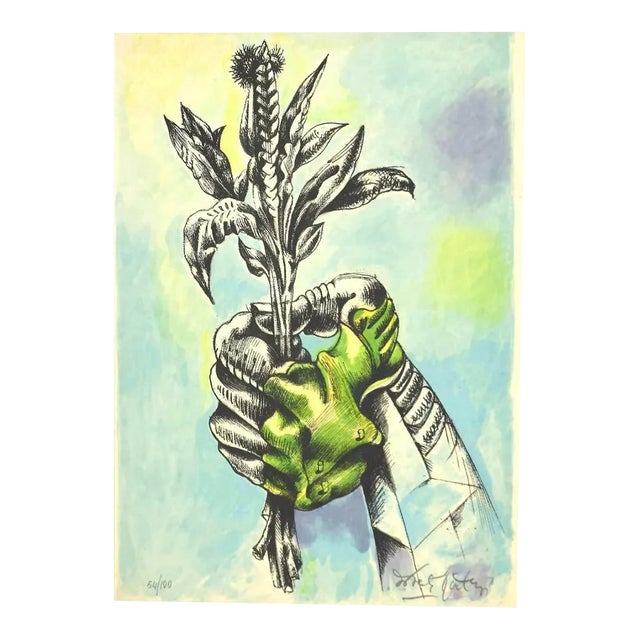 Daniele Dimitri, Vegetation, Late 20th-Century, Lithograph For Sale