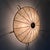 German Ceiling Light from Erco Leuchten, 1950s For Sale - Image 13 of 18