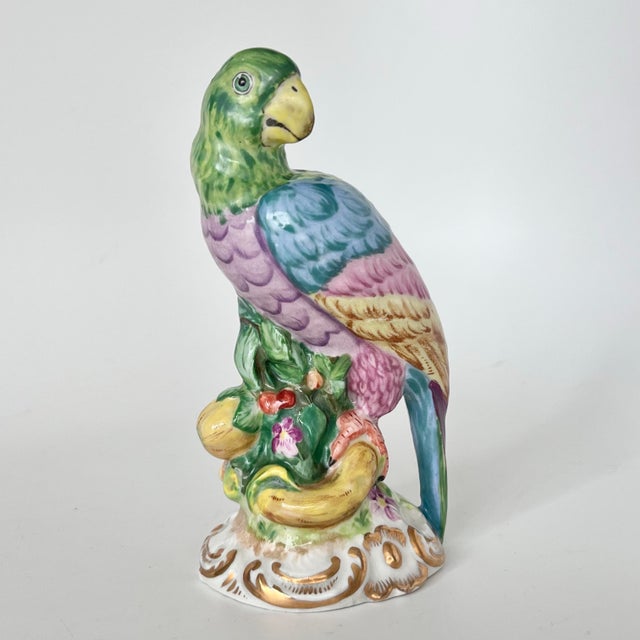 Early 20th Century Important Continental Meissen-Style Porcelain Parrot Bird Figurines, Early 20th Century — Pair For Sale - Image 5 of 12