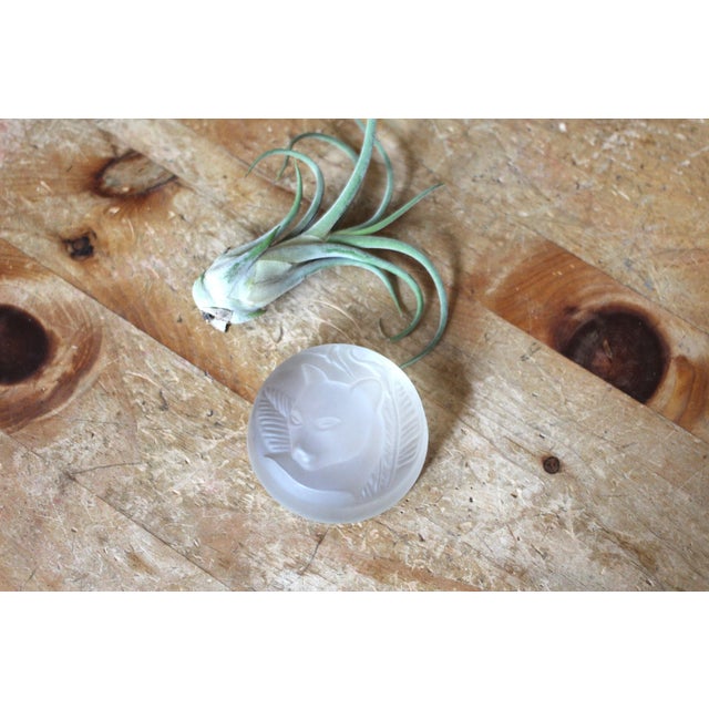 Frosted glass round paperweight with a panther head in a jungle scene. Art Deco style with calla lilies and jungle leaves....