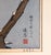 1970's Japanese Ukiyo-E Woodblock Print of Bird in Snow by Toshi Yoshida For Sale - Image 14 of 17