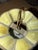 Glass Mid Century Green Stained Glass Pendant Lamp For Sale - Image 7 of 8