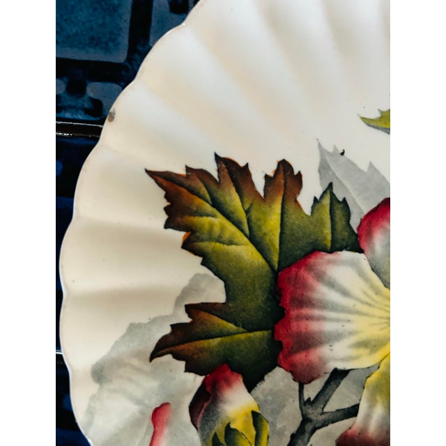Antique 1880’s Tc Brown Westhead Moore & Co Scalloped Edge Botanical Plates 8.5” ~ Set of 6 For Sale - Image 11 of 11
