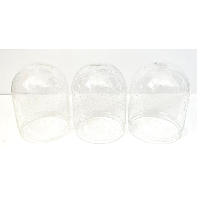 Glass Cloches, Set of 3 Chairish