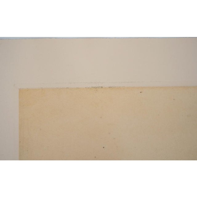 Armand Coussens, Farmer, Original Etching For Sale - Image 8 of 9