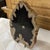 Live Edge Petrified Wood E For Sale - Image 4 of 10