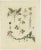 Set of four antique prints illustrating various plants. These prints originate from 'Collectanea Austriaca' by N.J....