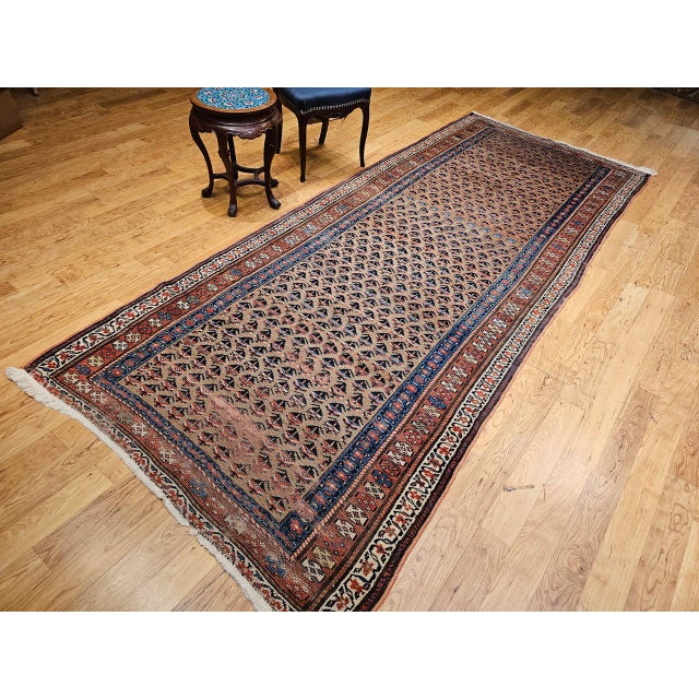 Vintage Persian Kurdish Bidjar Gallery Rug, Hand-Knotted Wool, Allover Paisley Design, Camelhair & Blue, 5x12 For Sale - Image 4 of 16