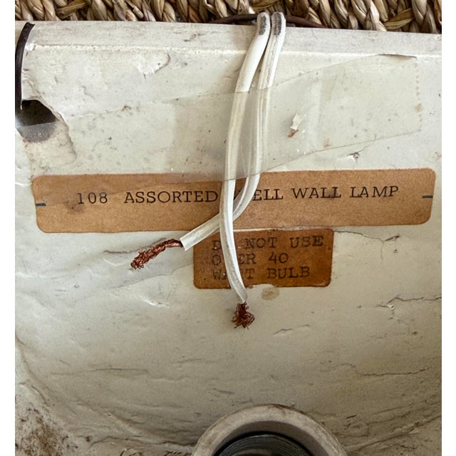 Sculpture Materials Richard Etts Plaster Shell Sconces For Sale - Image 7 of 12