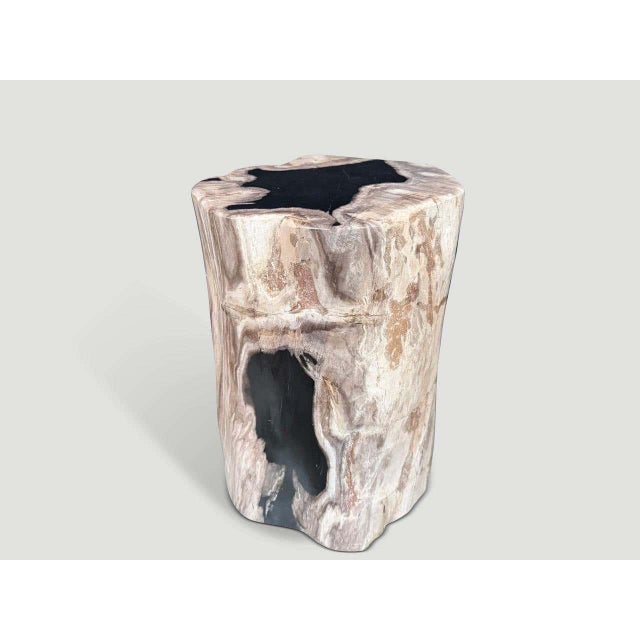 Contemporary Andrianna Shamaris Abstract High Quality Petrified Wood Side Table For Sale - Image 3 of 5
