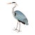 Gray Heron, Vintage Bird Art Print Reproduction, 12" X 18" For Sale