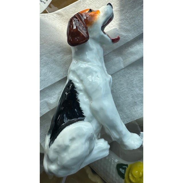 White Royal Dalton Dog For Sale - Image 8 of 10