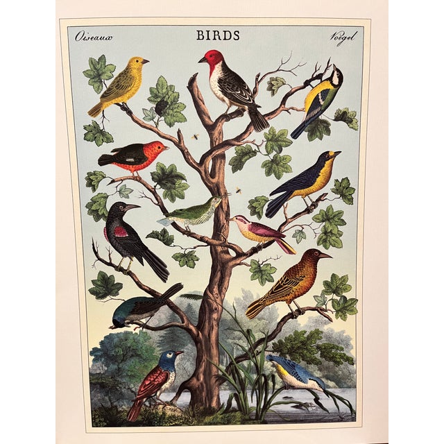 Birds (Oiseaux) Poster For Sale - Image 4 of 6