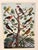 Birds (Oiseaux) Poster For Sale - Image 4 of 6
