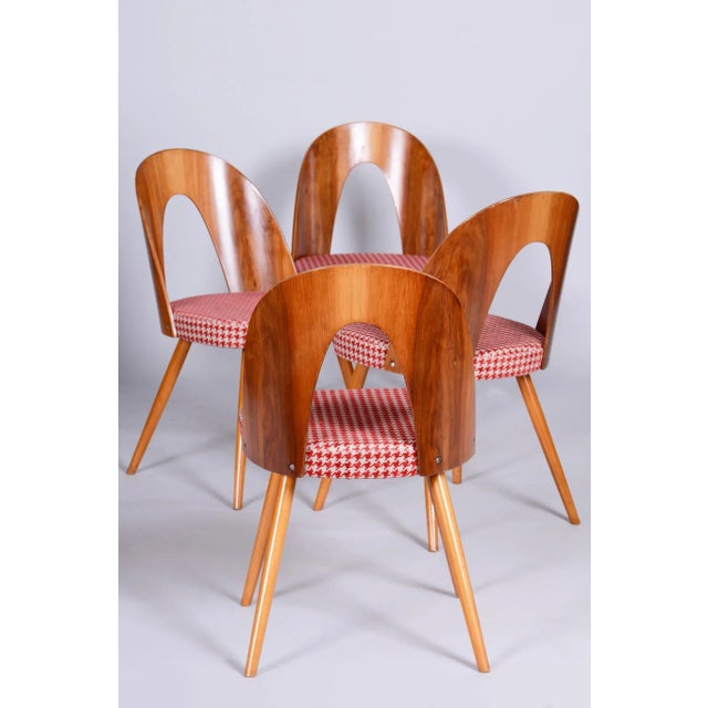 Wood Mid-Century Dining Chairs attributed to Antonín Šuman in Beech & Walnut, Czech, 1950s, Set of 4 For Sale - Image 7 of 11