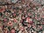 Galerie Shabab Collection Early 20th Century Persian Kashan Carpet For Sale - Image 10 of 10