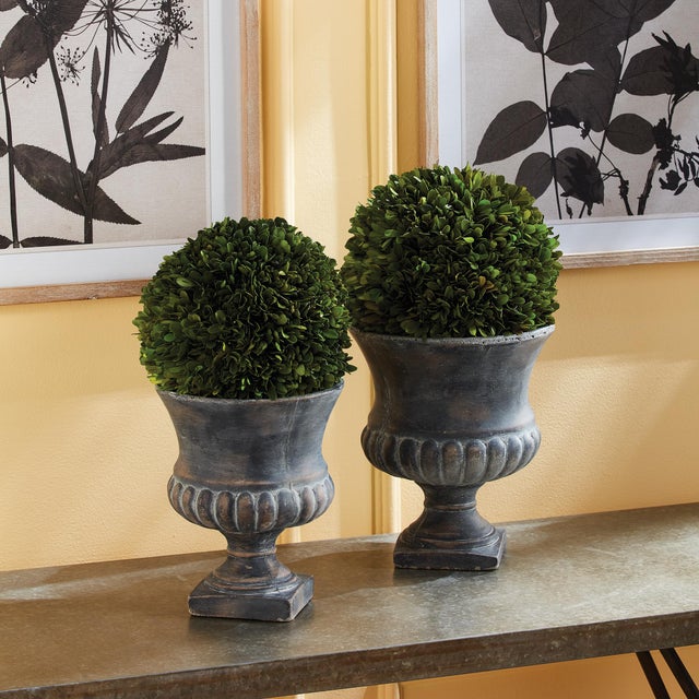 Boxwood Ball 8" For Sale In Chicago - Image 6 of 6