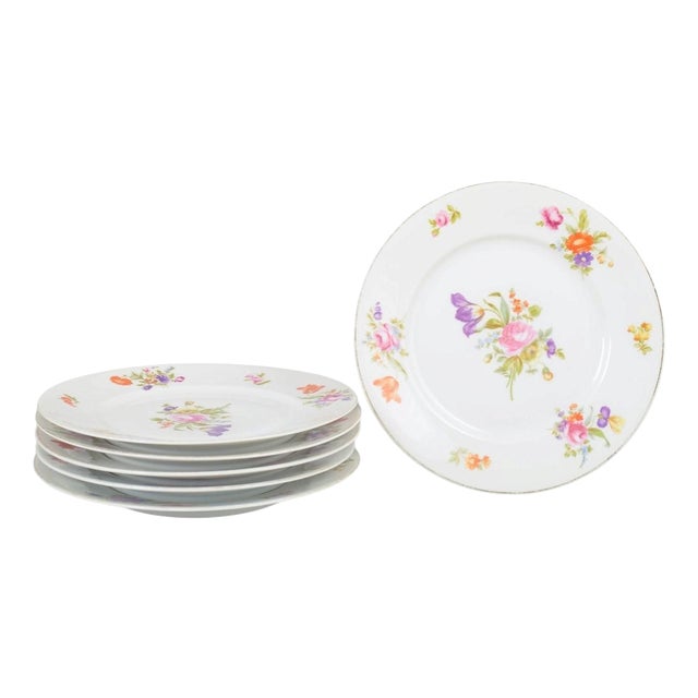 Porcelain Dinner Plates in Else Pattern from Rosenthal, 1930s, Set of 6 For Sale