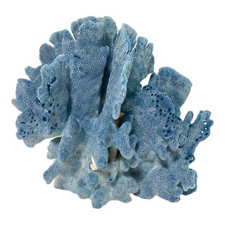 Natural Blue Coral Specimen Coastal Decor For Sale