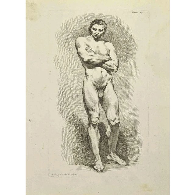 Anatomy Studies is an etching realized by Nicholas Cochin in 1755. Signed in the plate. Good conditions with foxing and...