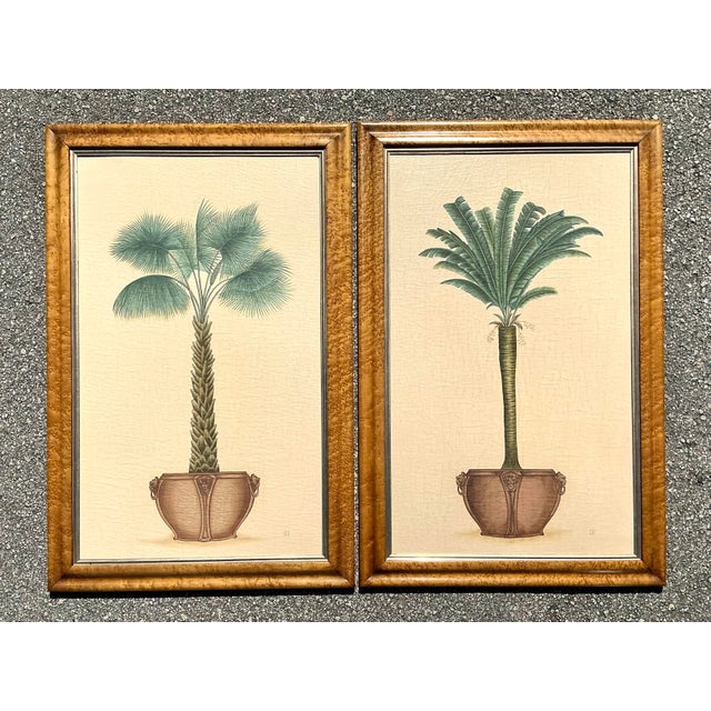 Tan Vintage Coastal Palm Prints - A Pair For Sale - Image 8 of 12