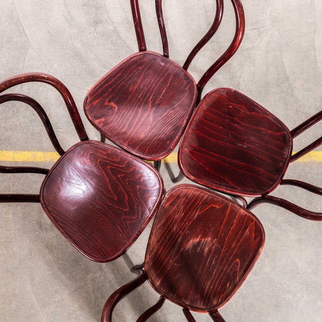 Dark Mahogany Hoop Back Bentwood Dining Chairs, 1980s, Set of 4 For Sale - Image 11 of 12