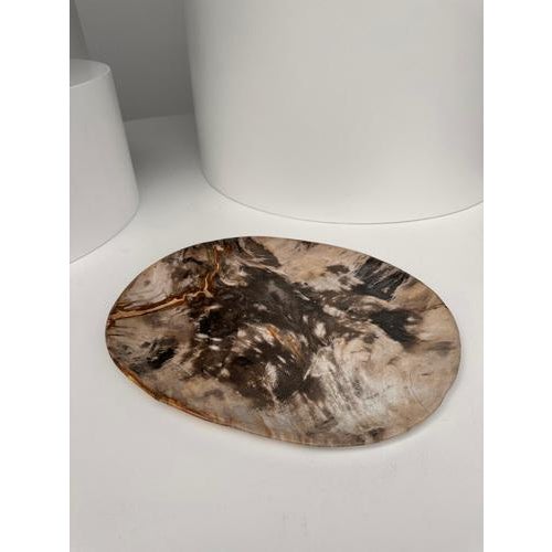 Very Large Vide-Poche or Dish in Petrified Wood For Sale - Image 4 of 18