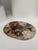 Very Large Vide-Poche or Dish in Petrified Wood For Sale - Image 4 of 18
