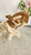 1960s Vintage Large Carved Onyx Elephant Sculpture For Sale - Image 5 of 18