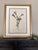 1950s Original Vintage Botanical Prints Framed Set of 6 - Authentic 1953 Prints For Sale - Image 5 of 7