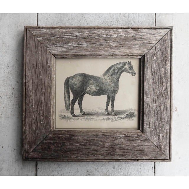 Great image of a racehorse presented in an antique oak frame Lithograph after George Stubbs with original hand color....
