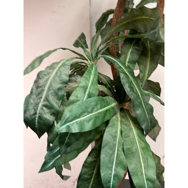 Faux Bird Nest Palm + Black Tapered Planter For Sale - Image 11 of 12