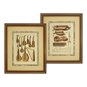 Mid 20th Century Musical String Instrument Framed Color Engraving - A Pair