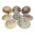 Vintage Hand-Painted Floral Porcelain Plates, Set of 8 For Sale