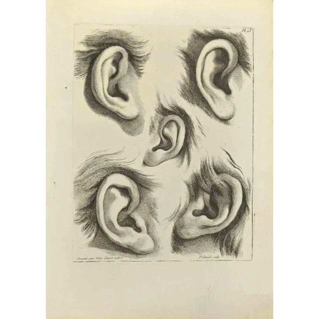 Ears is an etching realized by Jean Francois Poletnich in 1755. Signed in the plate. Good conditions with foxing. The...