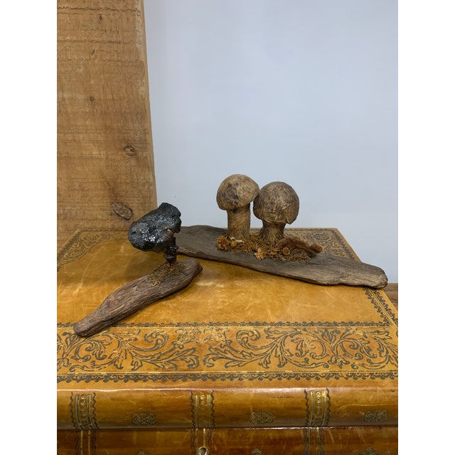 Pair of Late 19th Century French Folk Art Instructional Mushroom Specimens For Sale - Image 9 of 11