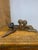Pair of Late 19th Century French Folk Art Instructional Mushroom Specimens For Sale - Image 9 of 11