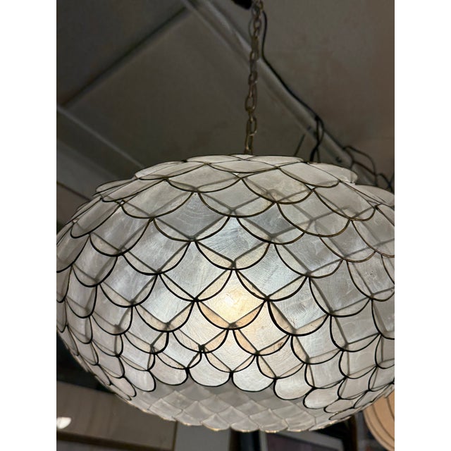 Brass Serena & Lily Capiz Scalloped Chandelier For Sale - Image 8 of 12
