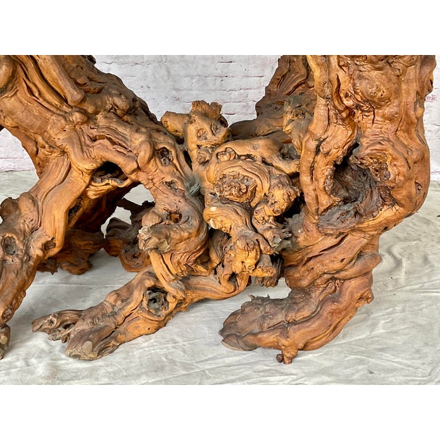 Vintage Sculptural Natural Burlwood Root Dining Table With Rectangular Glass Top For Sale In Tampa - Image 6 of 18