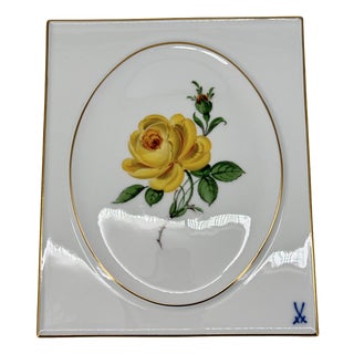 Painted Porcelain Plate from Meissen, 1960s For Sale