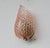 Stunning Murano wall light by artist Ercole Barovier with rare pink glass. The wall light consist of a glass leave and a...