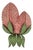Mid-Century Double Leaf Floral Sconce by Holländer Leuchten, Germany, 1970s For Sale