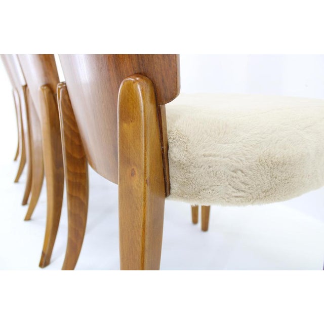 Vintage H-214 Dining Chairs by Jindrich Halabala for Up Závody, 1950s, Set of 4 For Sale - Image 11 of 18